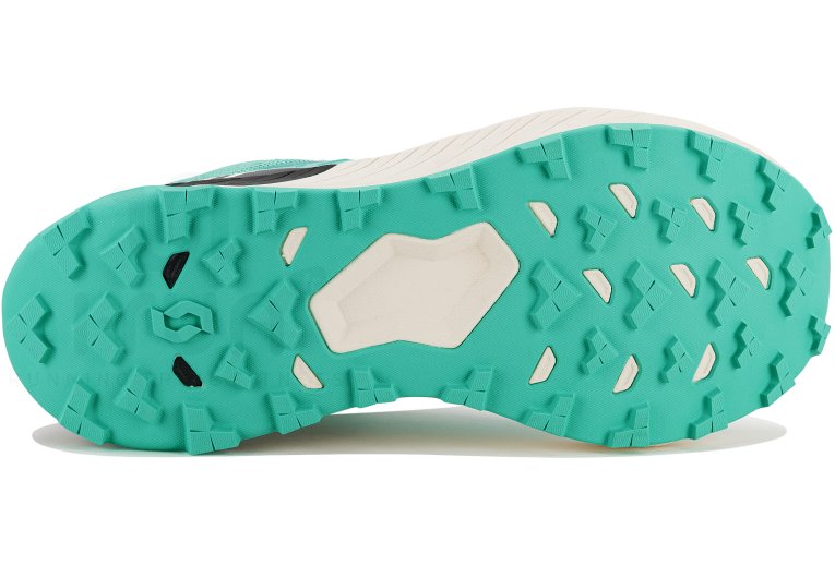 Scott Kinabalu 3