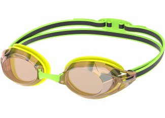 Speedo Vanquisher 3.0 Mirrored