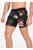 Stance Our Roots Boxer Brief M 