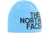The North Face Rversible TNF Banner 