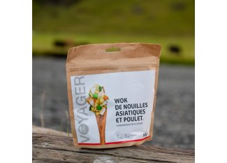 Voyager Wok de nouilles asiatiques et poulet